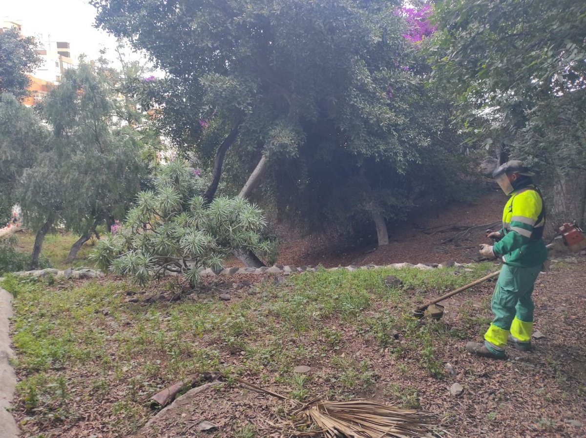 A través de los servicios de Limpieza y Parques y Jardines, ha actuado limpiando, desbrozando, retirando escombros y acondicionando el Parque Rústico en el Barranquillo Viera.

Esta intervención nace una propuesta votada a través de los #PresupuestosParticipativos2021.