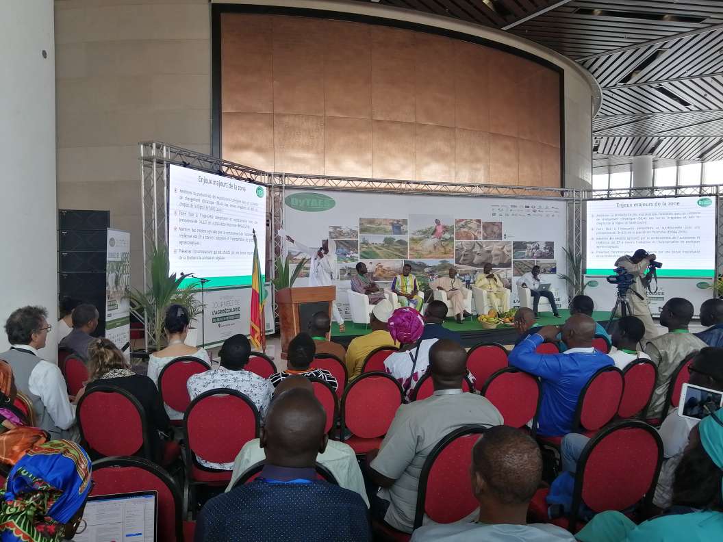 ACPP y sus socias senegalesas @usoforal , @USE y @AJACKalounayes participan en otra jornada de la 4º edición de las Jornadas de Agroecología de Dakar. Con apoyo de <a href="/goib_cooperacio/">Cooperació Illes Balears</a> #JAE2023 #DyTAES #Agroecologie #agroecologia