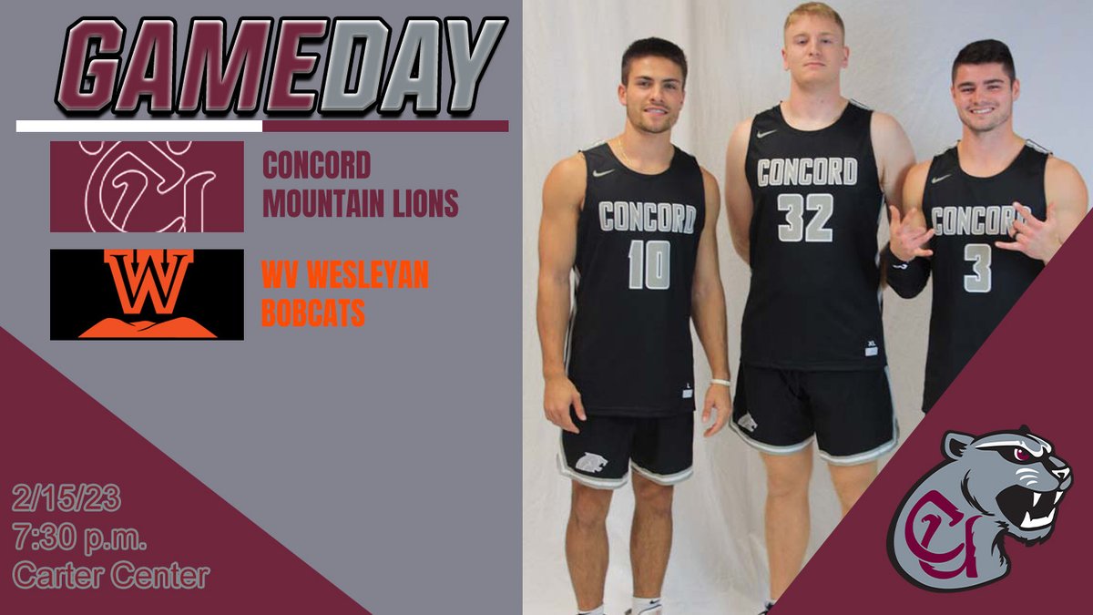 CUMountainlions tweet media