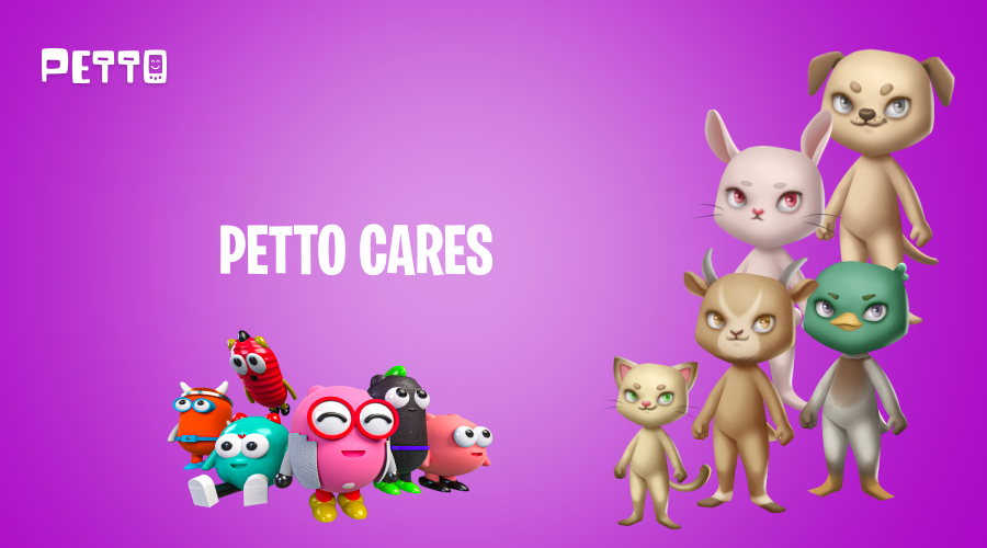 Petto tweet media
