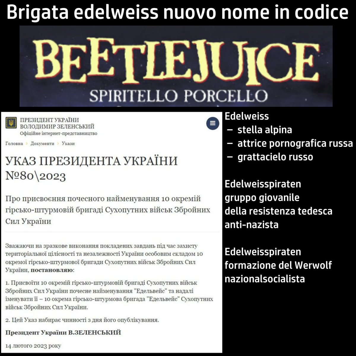 AlPacifista's tweet photo. #edelweiss?
#NomeinCodice #BEETLEJUICE #spiritoporcello https://t.co/ozZqb1YCkv