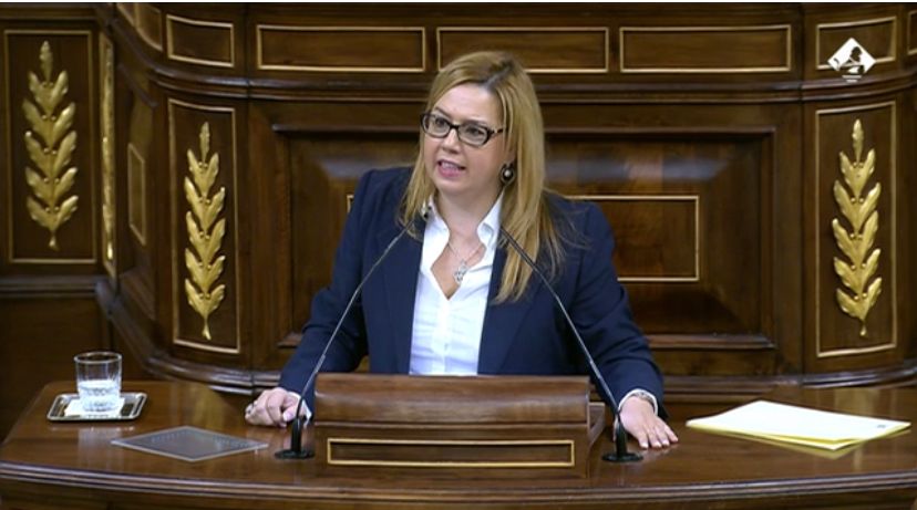 ppcantabria's tweet photo. Nuestra diputada @ElenaCastilloPP define como "poco seria" la reunión mantenida hoy por el grupo de trabajo del ferrocarril y en particular la postura del Gobierno ante el problema de las medidas de los trenes

Más aquí 👇
https://t.co/CMPP8orlNG https://t.co/BkQUK9h3Zw
