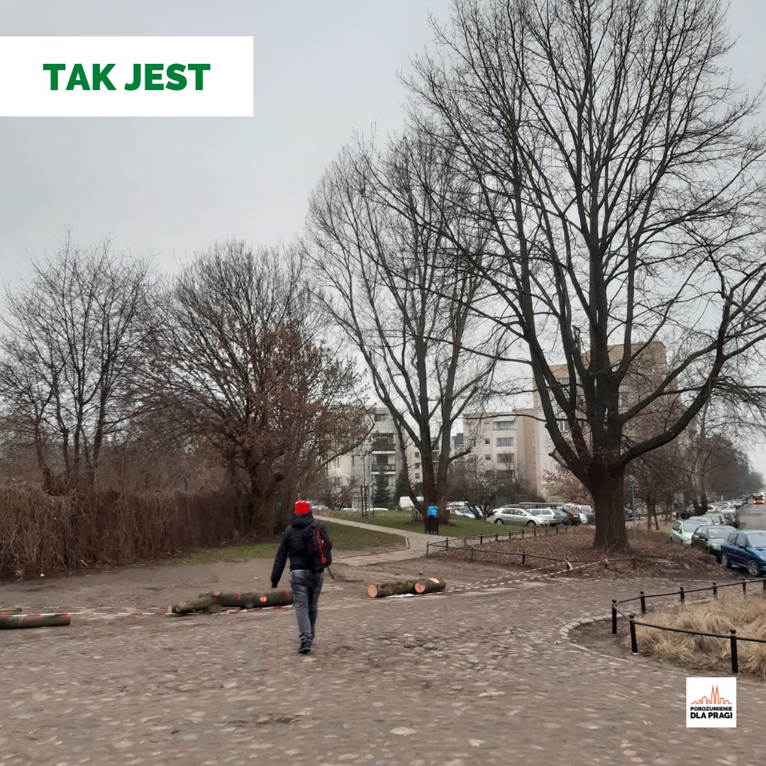 DlaPragi's tweet image. Pierwsza jaskółka zmian na Zamoyskiego/Jagiellońskiej. Piesi mogą wreszcie przejść! Dziękujemy @ZarzadZieleni i @SMWarszawa. Czekamy jeszcze na remont chodnika by @ZDM_Warszawa !