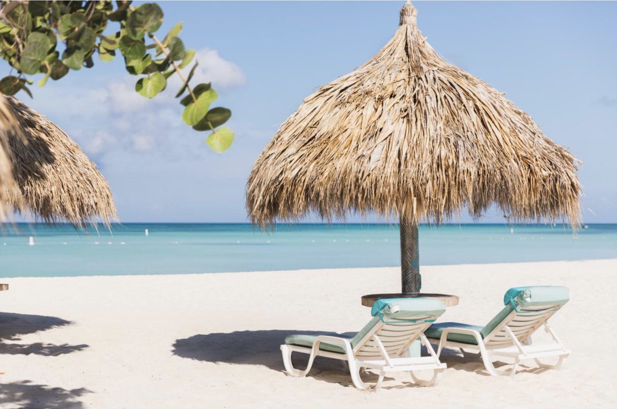MichaelThonsn's tweet photo. Watching #TamronHallShow @TamronHallShow #TamronHall @tamronhall with #ErykahBadu #TheoRossi #SamMorrison from my beautiful Island of #aruba @aruba #arubaonehappyisland @arubaunislafelis https://t.co/GlQNug44q9
🇦🇼🦒🏳️🌈
https://t.co/oimrCZAsCF https://t.co/sG8VSmAxm5