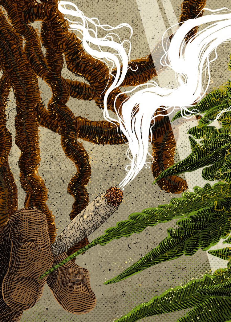 🟥🟥🟥🟥
🟨🟨🟨🟨
🟩🟩🟩🟩

🌿🔥😶‍🌫️Grand Rising 😶‍🌫️🔥🌿