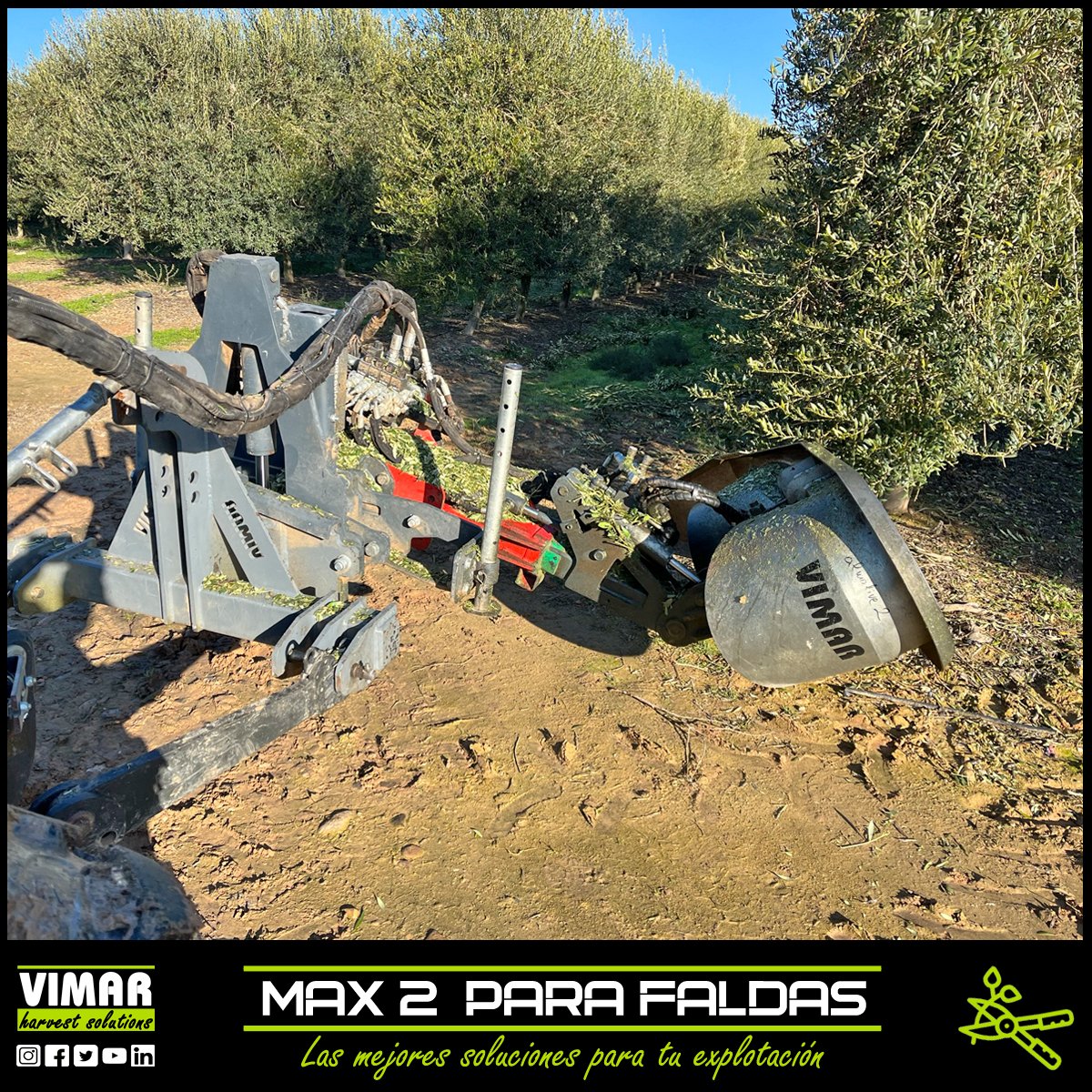 vimarequipos's tweet photo. 💿🌳Vimar Max 2 es una recortadora de bajos de #olivo en superintensivo con sistema de corte por aspiración.
✅🌿evita la pérdida de fruto durante la recolección y favorece la aireación.
#recortadora #recortadorabajos #podabajos #podafaldas #prepoda #poda #vimarequipos https://t.co/5NxrqD7Lj6