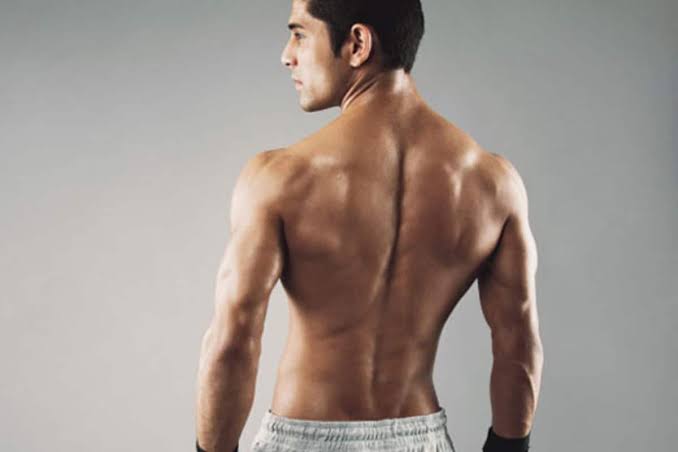 TheGowher's tweet image. Steps to achieve V shape torso.

lonebody.blogspot.com/2023/02/steps-…

#vshape
#Health 
#exercises 
#bodybuilding
#homeworkout