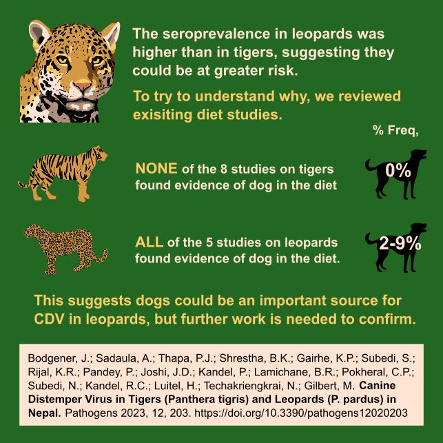 Jess Bodgener tweet media