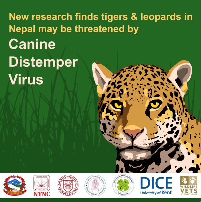 Jess Bodgener tweet media