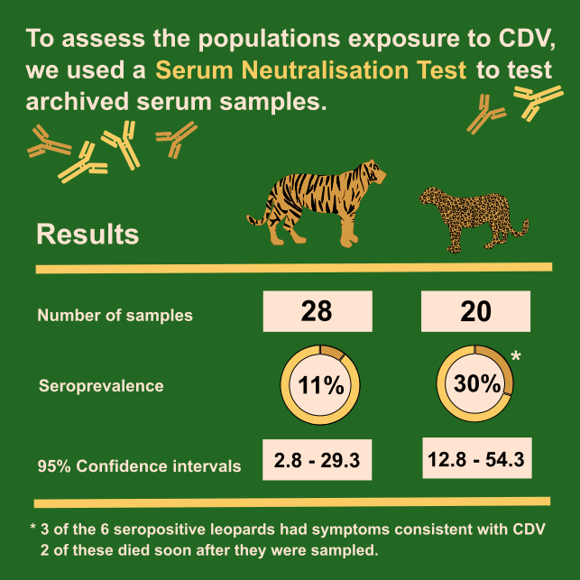 Jess Bodgener tweet media