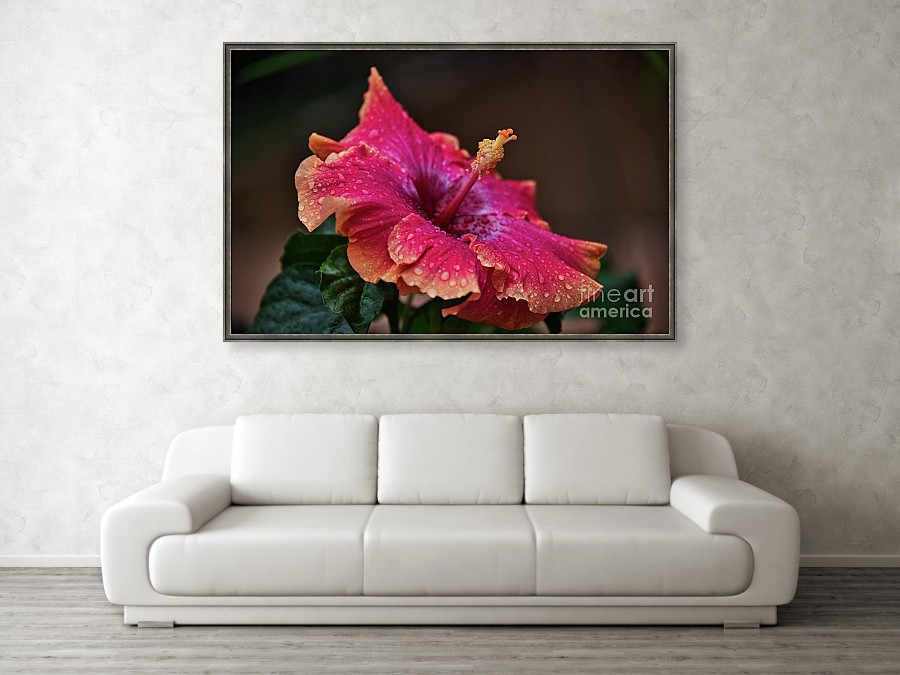 Hibiscus After The Rain by #AndreaAnderegg
SHOP HERE: andrea-anderegg.pixels.com/featured/hibis…
#spring #springdecor #artsale #sale #fineart #homedecor #dormdecor #inspirational #minimalism #buyart #quotes #shopsmall #wallart #BuyIntoArt #AYearForArt #ArtDistrict #PhotographyIsArt #Easter #GiveArt