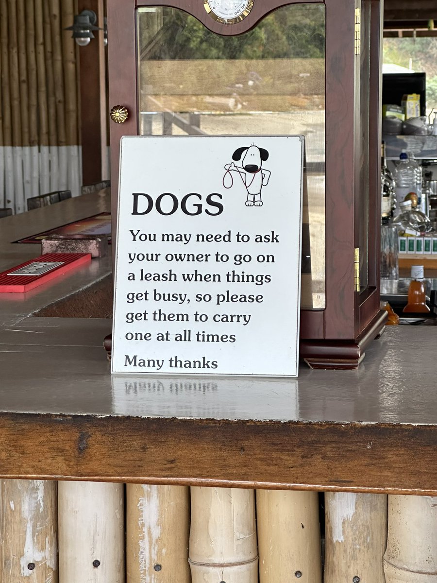 OttaBoss's tweet photo. Seen today at #BasilsBar 🥰 https://t.co/y5rKSNwUD6