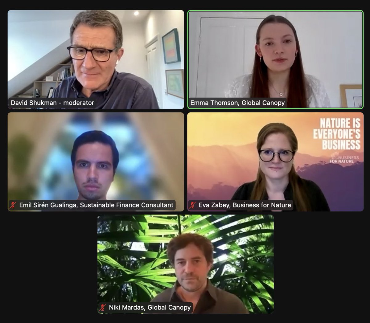 Global Canopy tweet media