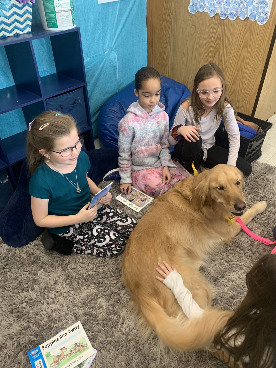 Students at Lincolnway read extra minutes at home to participate for the January reading incentive. They were rewarded by reading to the Kpets therapy dogs.#wyasd #wyproud