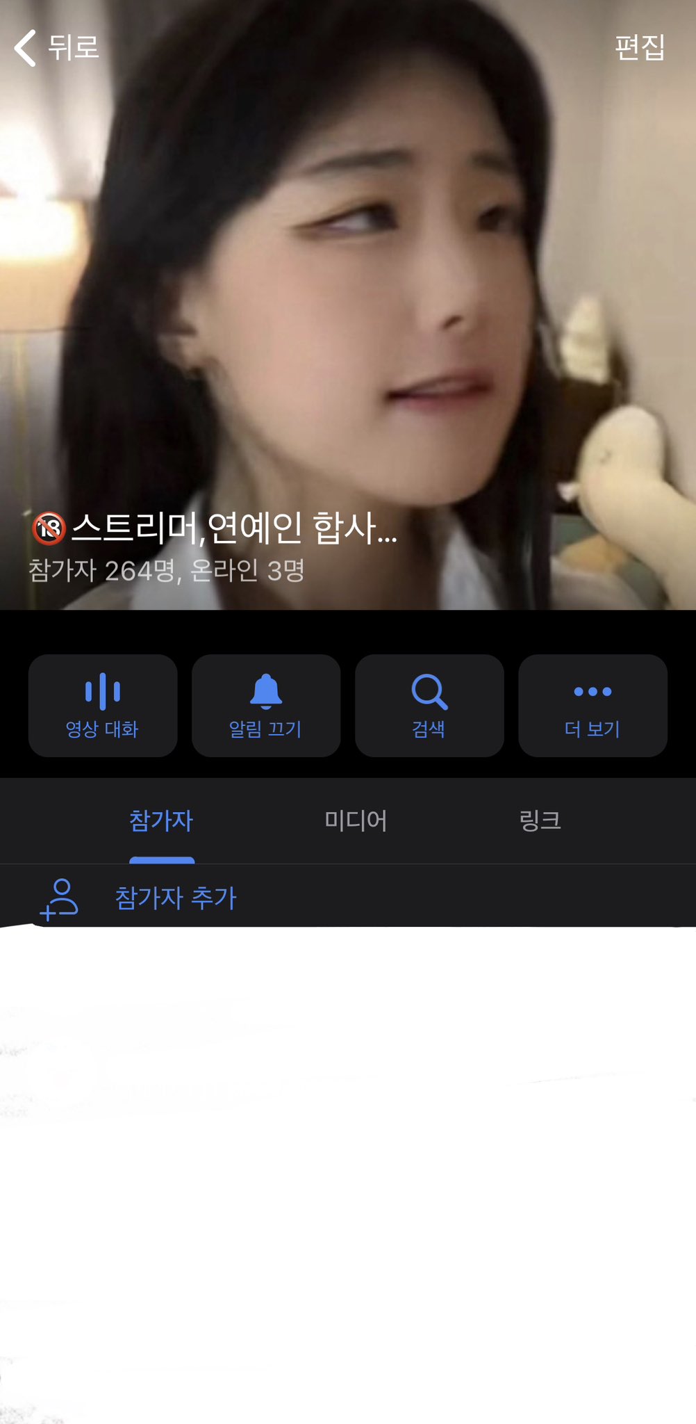 스트리머 합사  / X