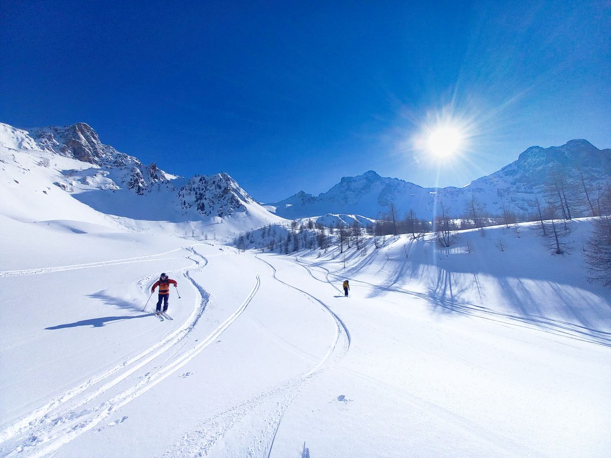 Al Powell tweet media