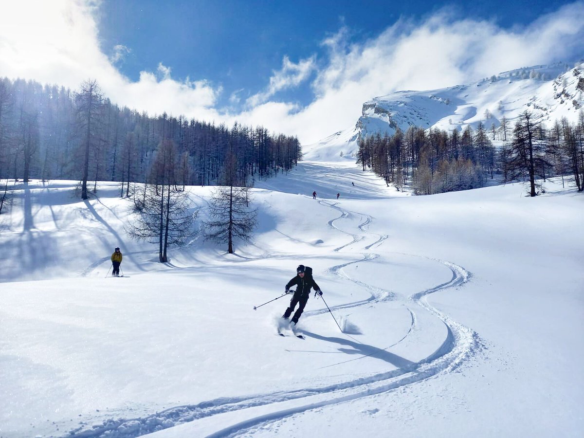 Al Powell tweet media