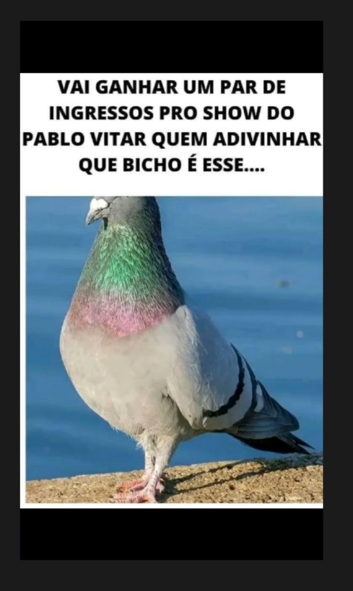 Milton Neves tweet media