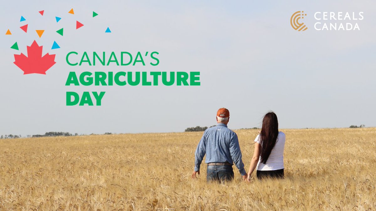 Cereals_Canada's tweet photo. “Forks up” for Canadian Ag! To celebrate Canada's Agriculture Day we’re highlighting the incredible work of Canadian wheat, barley, and oat farmers. Learn more and watch a short video featuring real farm families at: https://t.co/x2qxPUf7rc #CdnAgDay https://t.co/MI8pE2lHo5