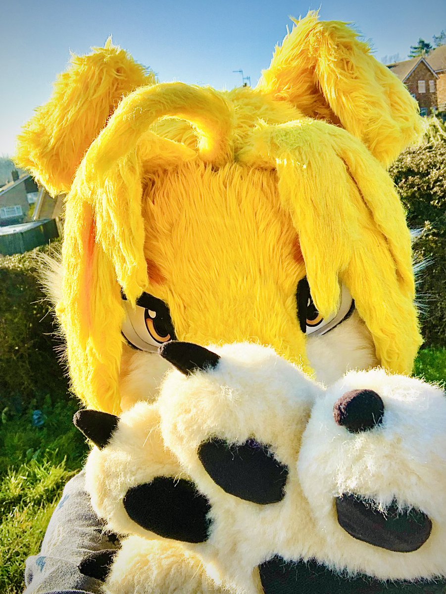 EdWanDog's tweet photo. Me when I get u

✂️: @Dracanimaker https://t.co/7ZiDjMrgGK