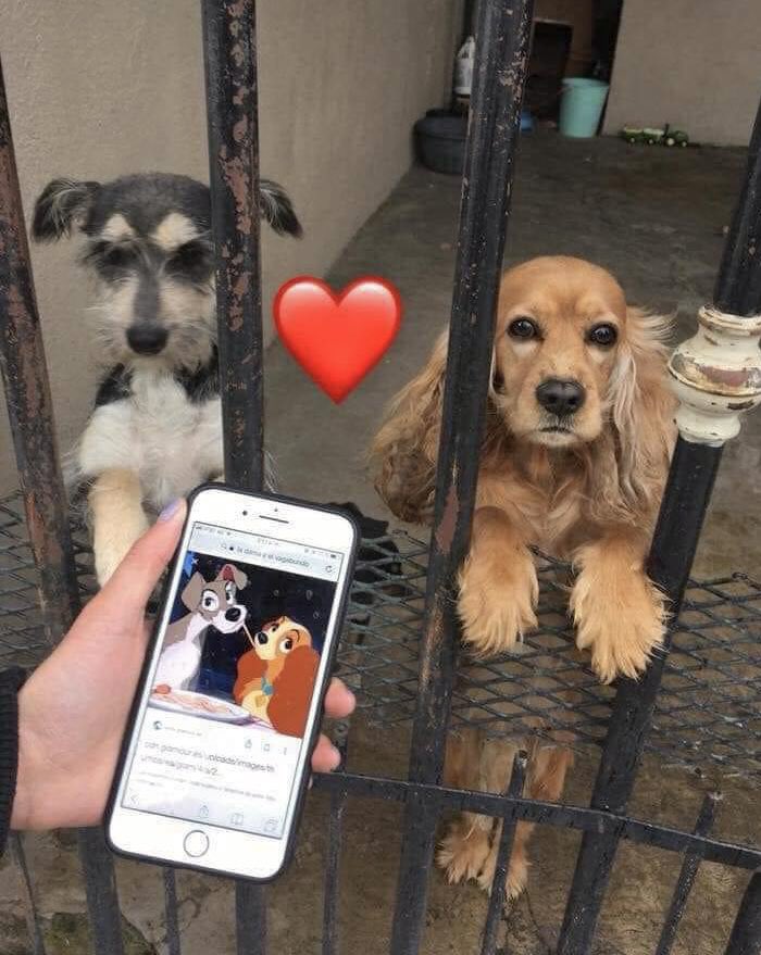 ramé (@escritosrame) on Twitter photo 