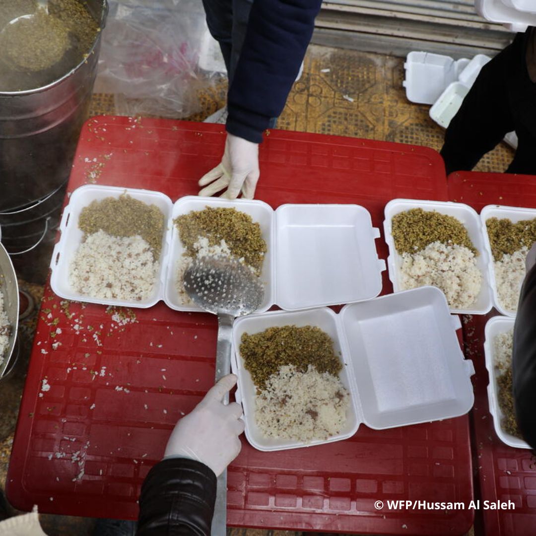 ShareTheMealorg's tweet image. 🇸🇾 WFP and its partner prepare hot meals for #earthquake-affected people in shelters in #Aleppo, #Syria.

The hot meals include freekeh (crushed green wheat).

So far, WFP has supported 90,000+ people in Syria and will continue to support.

Click the link in our bio to donate 🙏