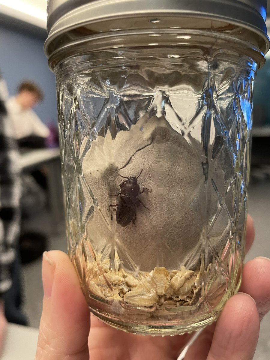 TechTeacher tweet media