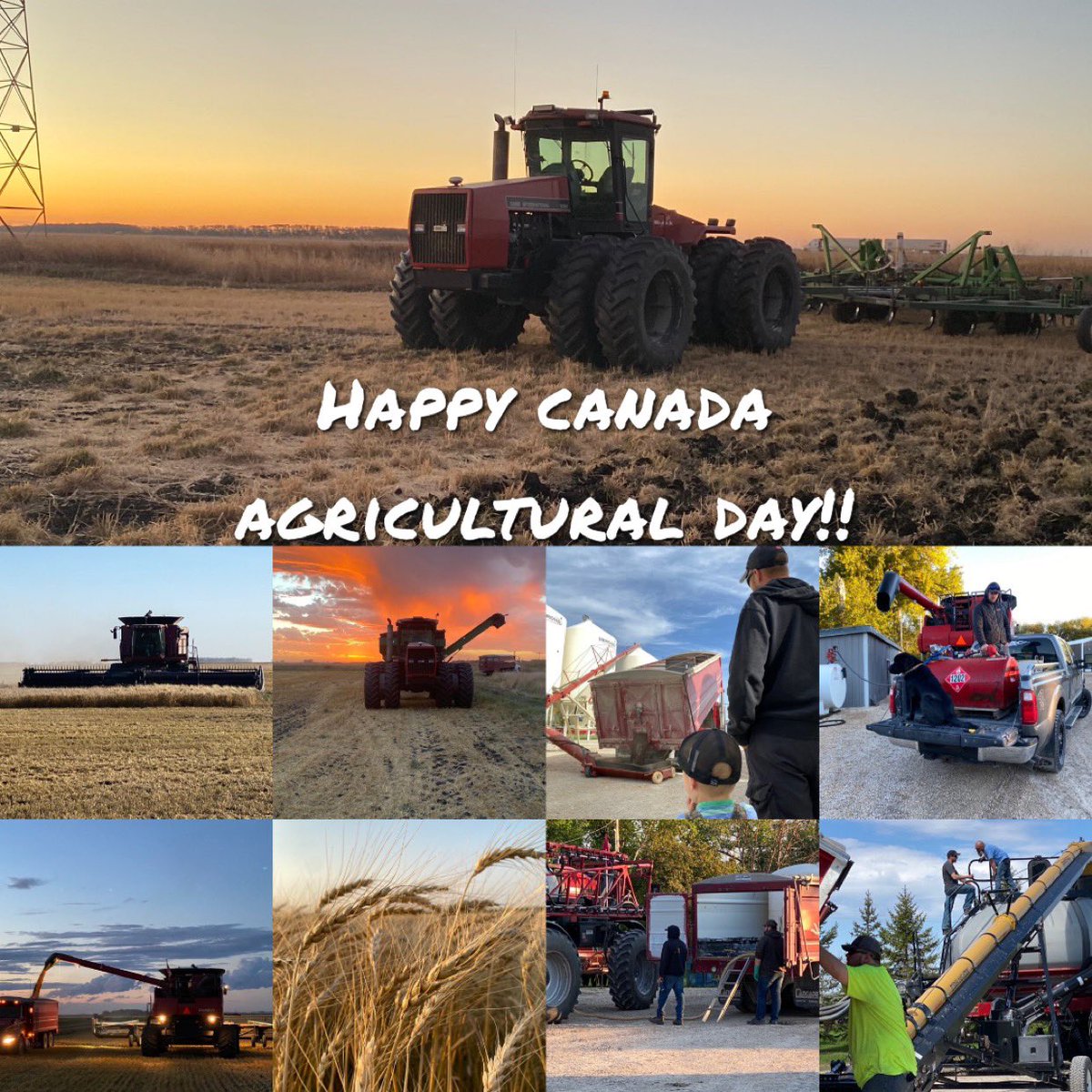 Miller Agritec Inc tweet media