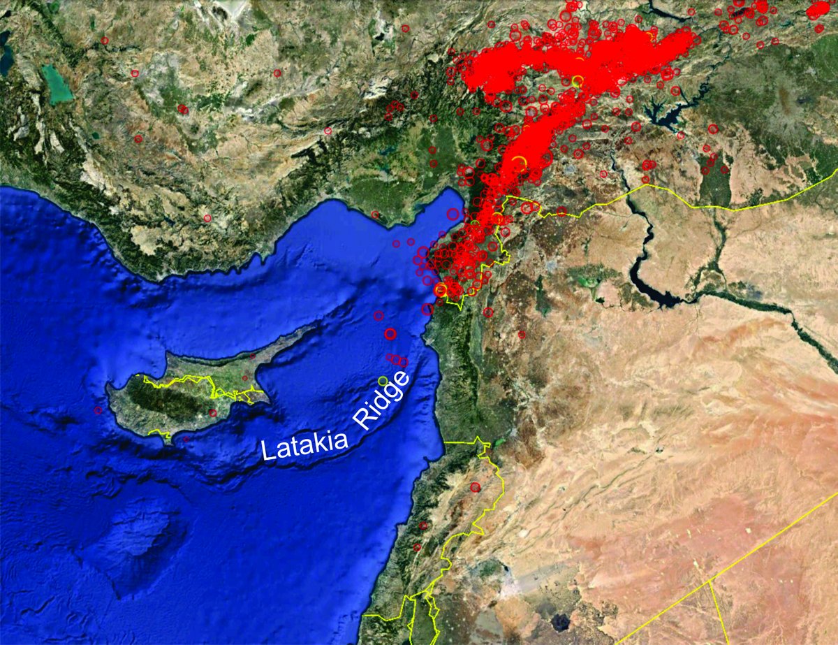 Tony S. Nemer, PhD tweet media