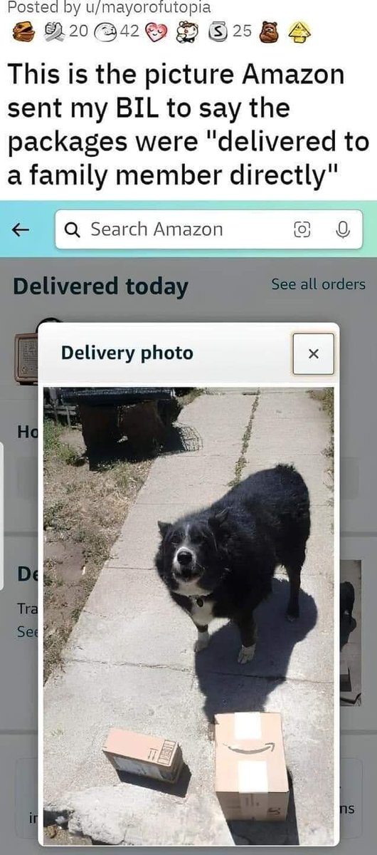WholesomeMemes (@wholesomememe) on Twitter photo 