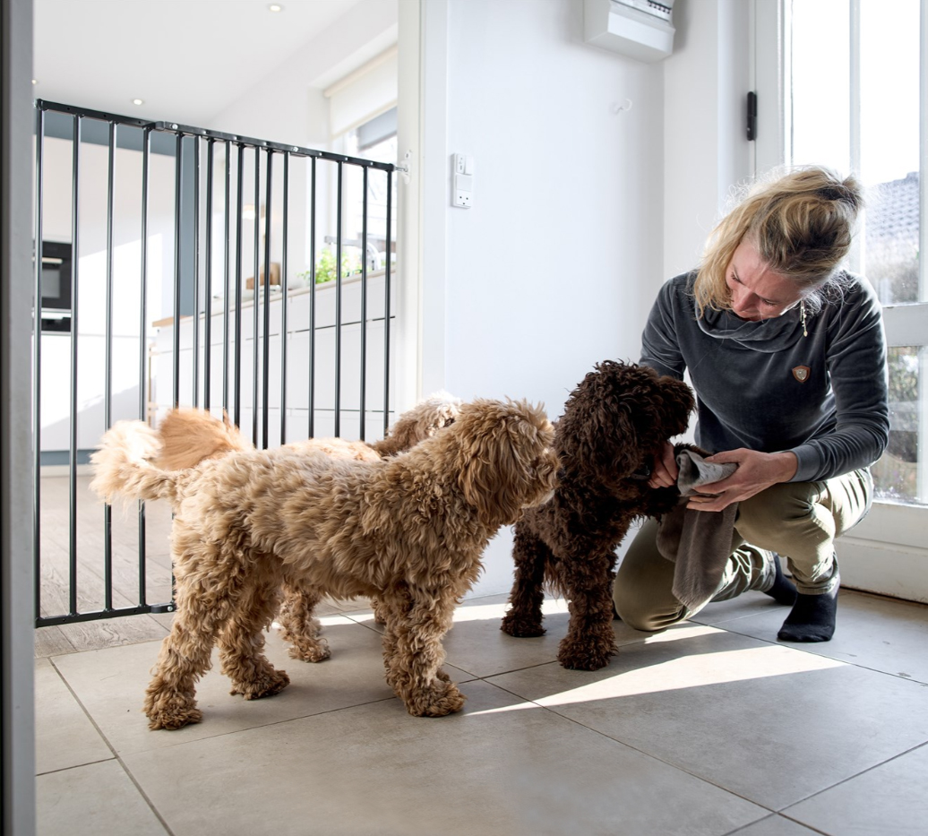 DforDog's tweet image. Your pooch is in excellent hands with these high quality dog security gates. Choose from Marley puppy gate, Bonnie pressure fitted dog gate or Charlie wall mounted gate. Woof!

Visit dfordog.co.uk/tall-wall-moun…

#dfordog #dogspace #doggate #dogstairgate #dogsecurity