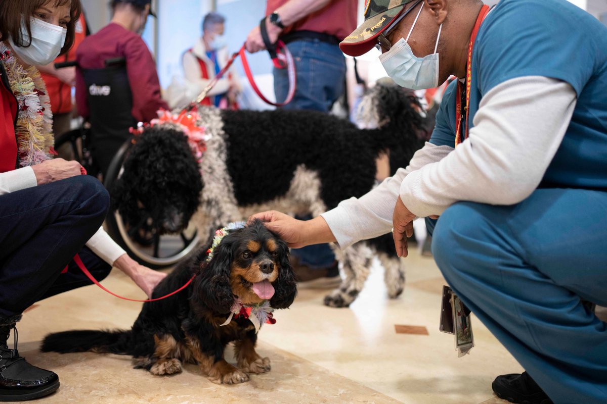 ClevelandVAMC's tweet image. On Valentine’s Day the American Red Cross of Northern Ohio sponsored the inaugural Cupid Puppy Parade to commemorate National Salute to Veteran Patients Week at the Louis Stokes Cleveland VA Medical Center.
