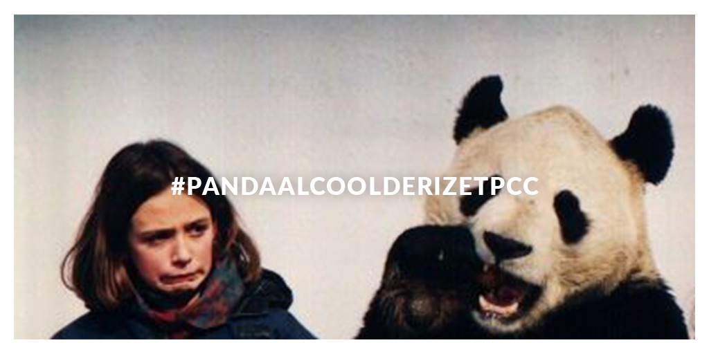 #PandaalcoolderizetPCC 

Panda, Alcool de Riz et PCC - le nouveau 🧵 récurrent qui vulgarise la littérature scientifique sur la Chine 

Un petit 🧵 pour expliquer 👇 1/12