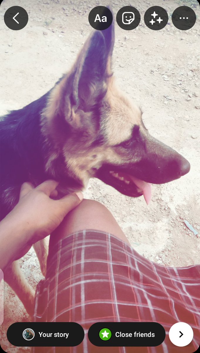 jacobi194's tweet photo. Chilling outside with cirila https://t.co/vEqRtybWeP