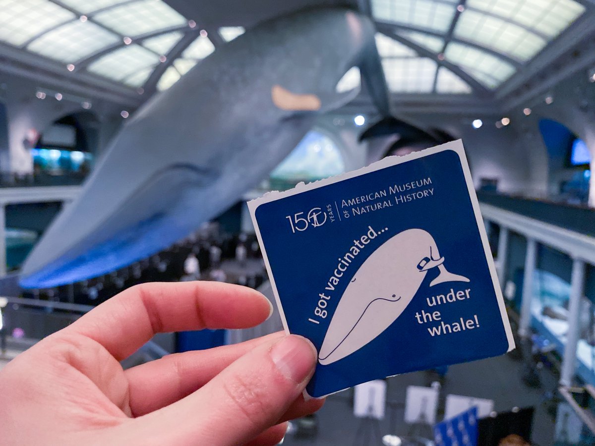 Exciting news! The Museum has won 2 @AnthemAwards, presented by the #WebbyAwards to recognize mission-driven work.
🏅Local Awareness Campaign: Get Vaxxed Under the Blue Whale >> bit.ly/3xvoiId
🏅Special Projects: Viruses, Vaccines, & COVID-19 >> bit.ly/3YWifIF