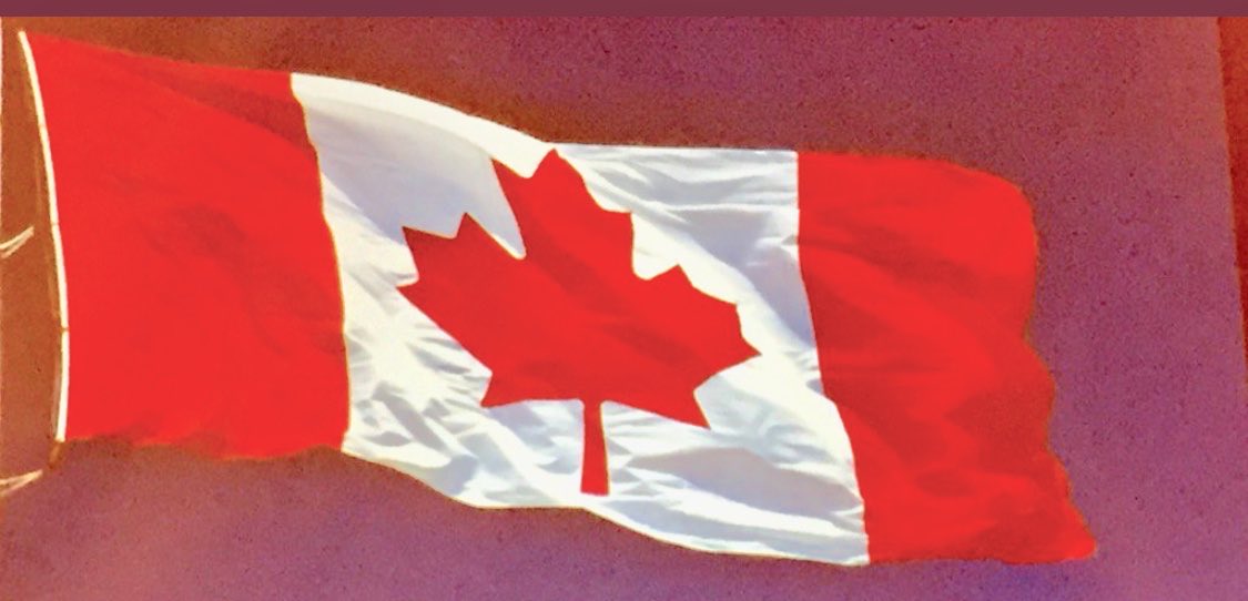 CouncillorChan's tweet photo. Canada’s Flag Day 🇨🇦 today! Our flag, our values- fairness, inclusion, peace-loving, respect! 🎉 @HeritageCanada #CDNPoli #Fairness #Diversity #Inclusion #RuleofLaw #ONPi @TheHillTimes #compassion #equality #Unity @TheAgenda #InAllofUsCommand #FlagDay #GreatWhiteNorth #OCanada https://t.co/i2jru011VF