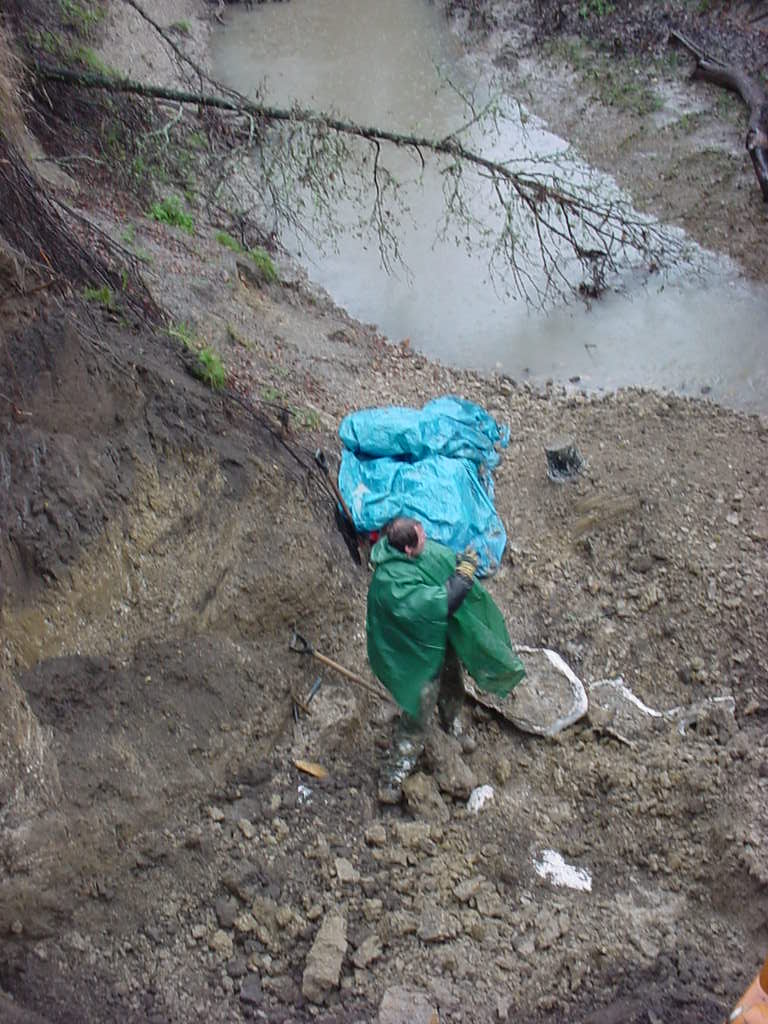 Triebold Paleontology Inc tweet media