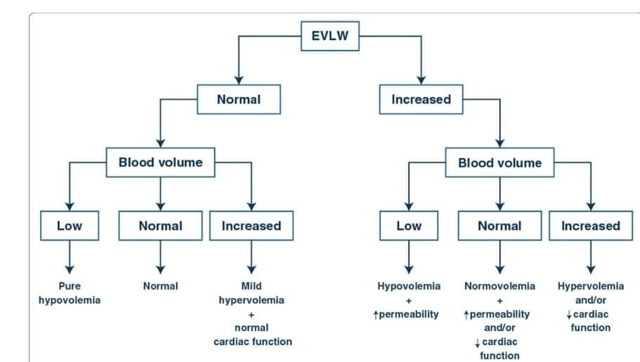 LeslieMegom's tweet photo. 💧reto con líquidos para evaluar la resp. a volumen en pacientes en estado crítico con insuficiencia circulatoria aguda:Un volumen de de 250 ml con un umbral de aumento del 9,6 % en el V. Sistólico >precisión en la en pacientes en estado crítico con shock. https://t.co/NAX3u0O2A6 https://t.co/LzVLhvfLvE