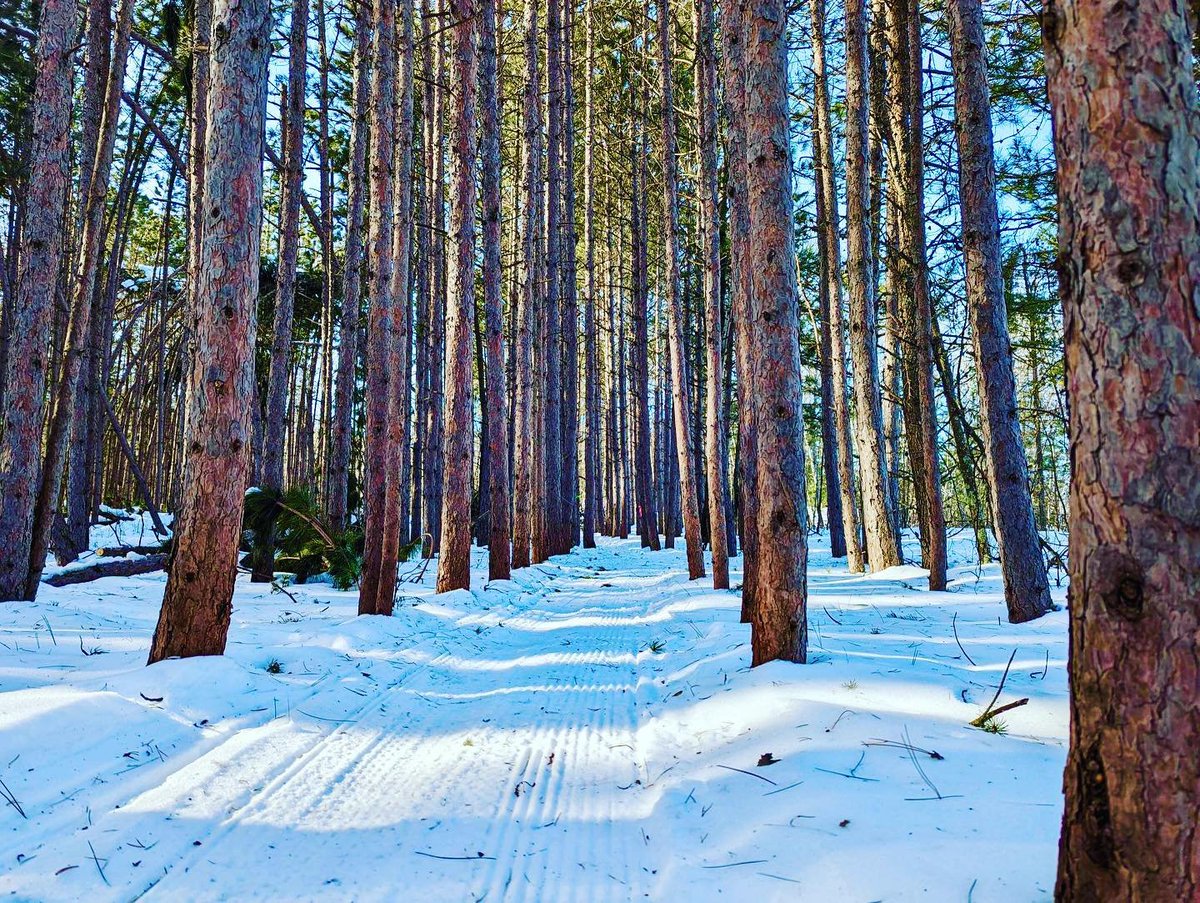 Please avoid the trails today-conditions are EXTREMELY SOFT! Groomers are heading out to see what they can repair after the warm temps and rain yesterday. We will post an update as soon as conditions change significantly and trails are ready to ride again.
