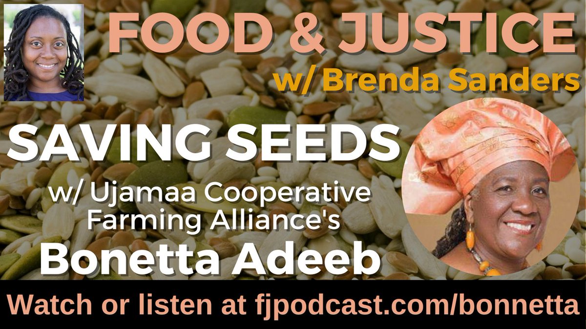 Watch or listen to@foodjusticepod's <a href="/VeganQueenBee/">シュテルンクリガー</a> interview Bonetta Adeeb of #Ujamaa Cooperative Farming Alliance, Ujamaa Seeds, Steam Onward,  Cooperative Gardens Commission, &amp; Heirloom Collards Project at fjpodcast.com/bonnetta
#BlackFarmers #Seedsavers #cooperativeeconomics