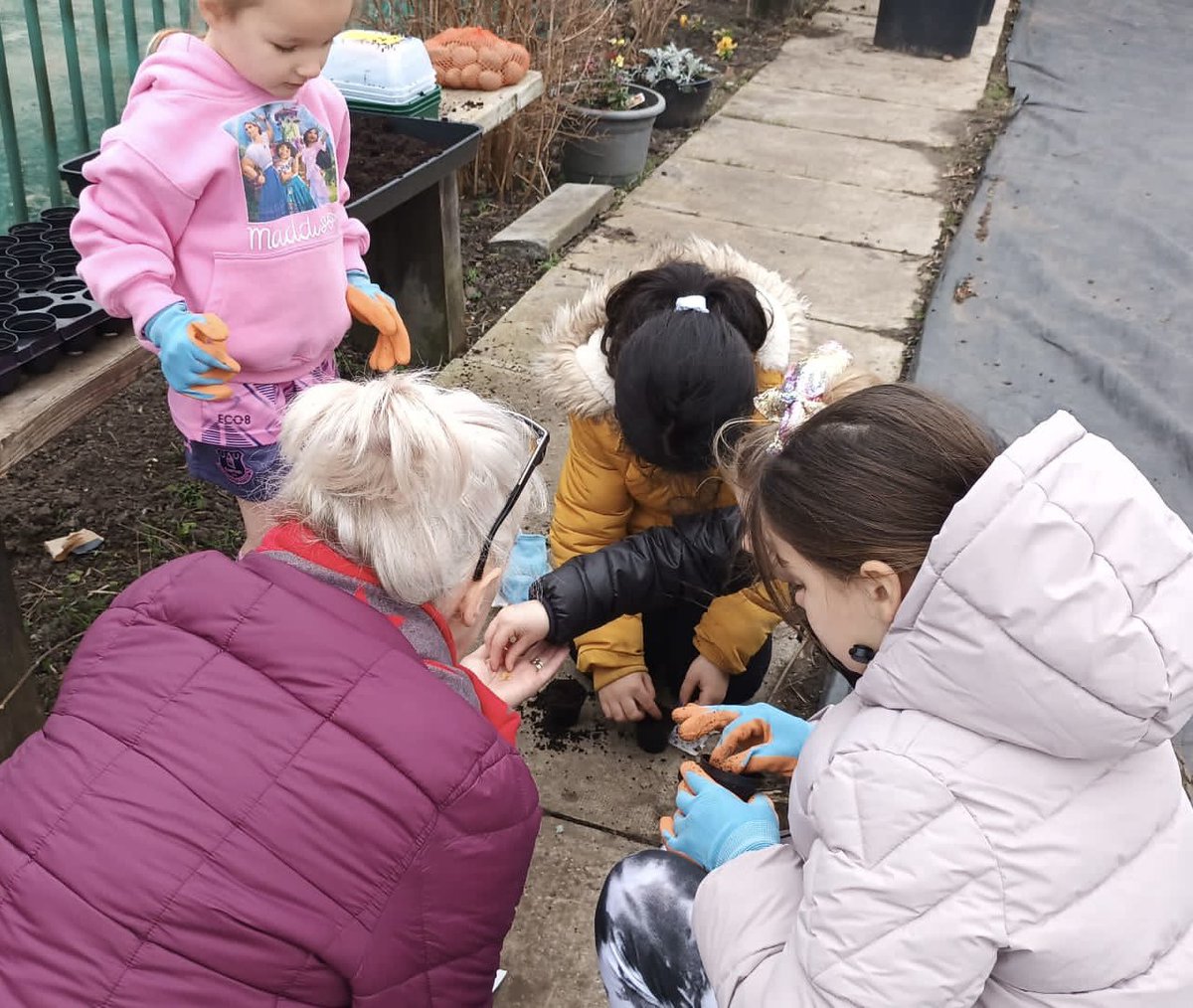 myKFCA's tweet photo. Another #KennyFields Young Growers session this morning learning about the season and what we can sow in February.  First chance for the kids to see the new @FirstTunnels polytunnel too.  Thank you @CF_Merseyside @TNLComFund #AwardsForAll @LpoolCityRegion #GreenLCR https://t.co/66WUQ2B5rh