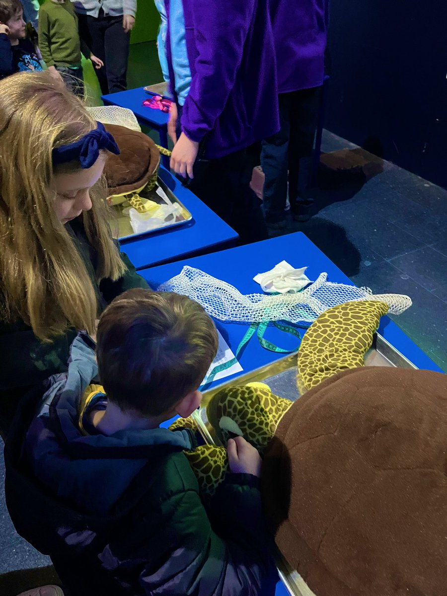 Amaze_Lab's tweet photo. Really enjoyed our trip to @TheDeepHull today. Here are the mini Amazelab crew putting in a shift at The Turtle Hospital. 
❤️🌊🐢 Ocean conservation education is so important. https://t.co/ahMdO805xa
