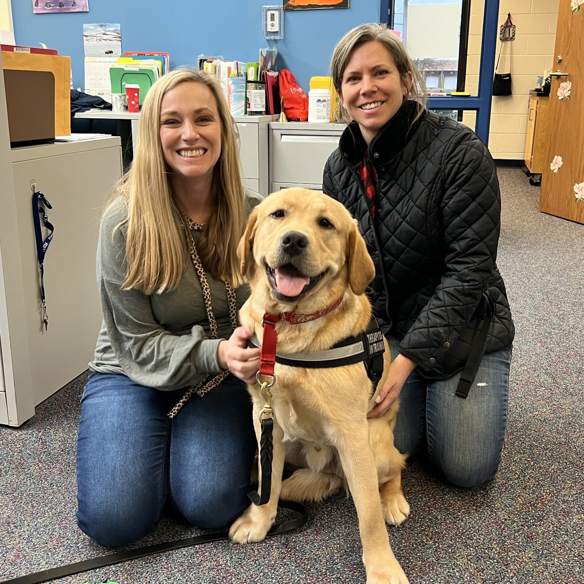 Louie is always in need of items.  If you'd like to contribute to this adorable pup, here's his  Amazon wish list.
amazon.com/hz/wishlist/ls…