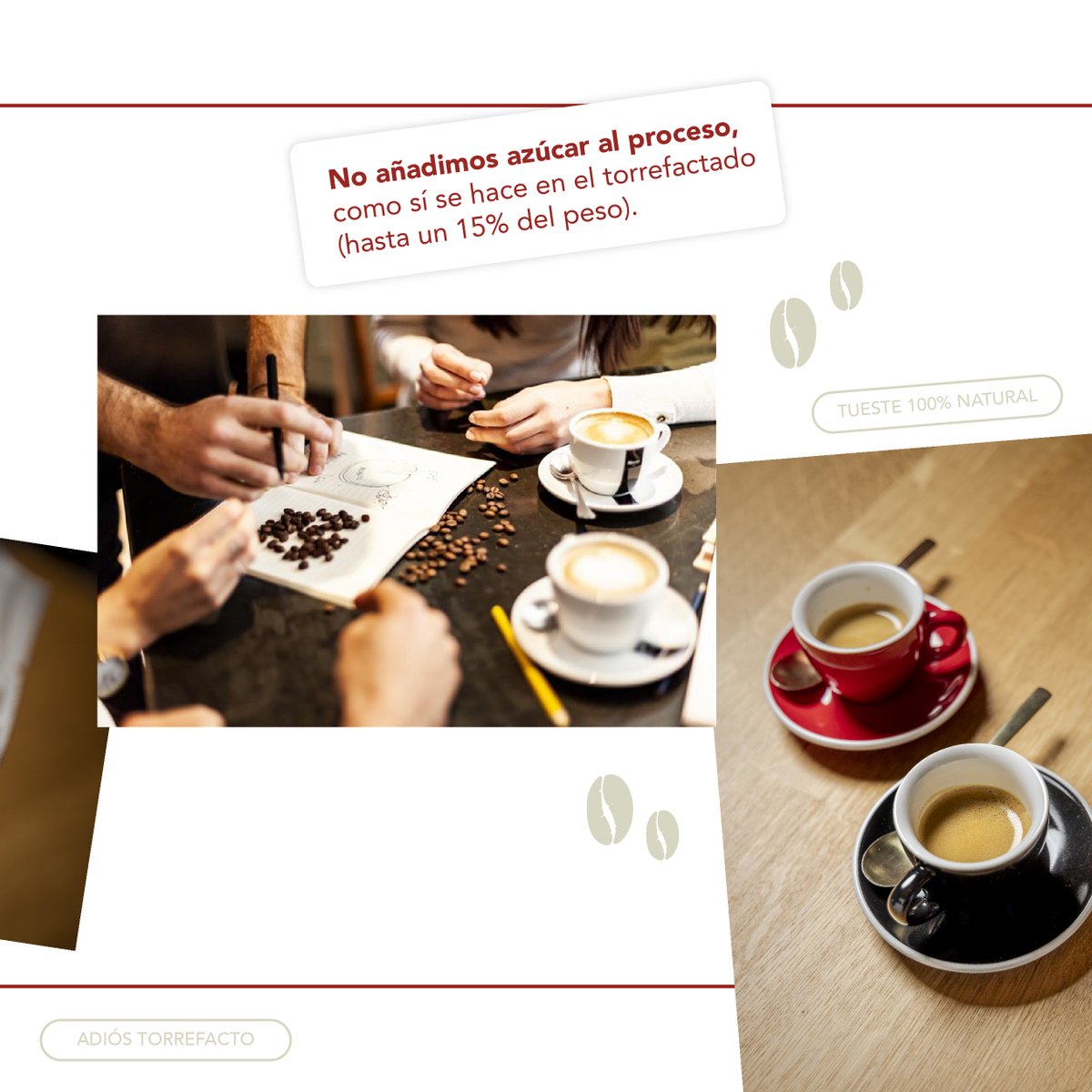 Pascual's tweet photo. Si eres fan del café☕️, esta noticia de @MocayCafe te interesa📢 Toda la gama #Mocay ya es 100% de tueste natural 📢 
 🤓 ¿Qué significa esto?

✅ Un cambio con el que queremos cambiar la cultura del café y elevar su calidad en hostelería  

👇👇👇https://t.co/kfqQ6w284F https://t.co/CZM0ydbTiA