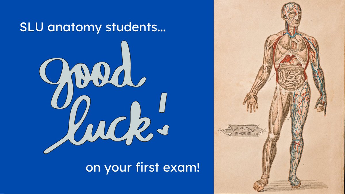 @SLU_Anatomy students have their first exam and lab practical today - good luck!!