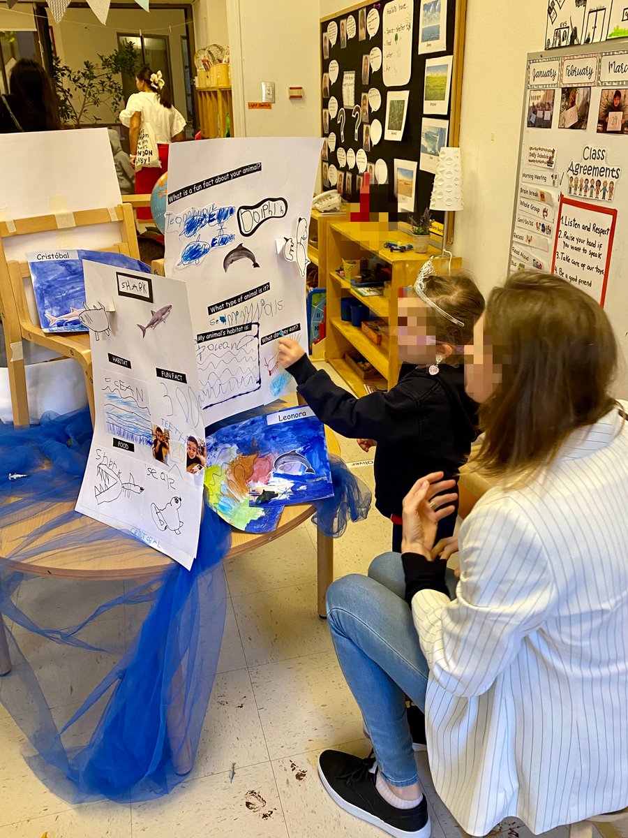 K1 students presenting their learning at our student led Celebration of Learning. We are immensely proud of our courageous Animal Rangers! #NidoLearns #earlyyears