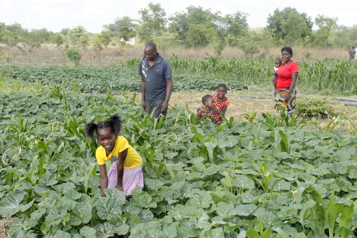 Small-scale farmers are critical to improving #householdfoodsecurity. We have continued to support them with farming inputs and other requirements to boost their yields