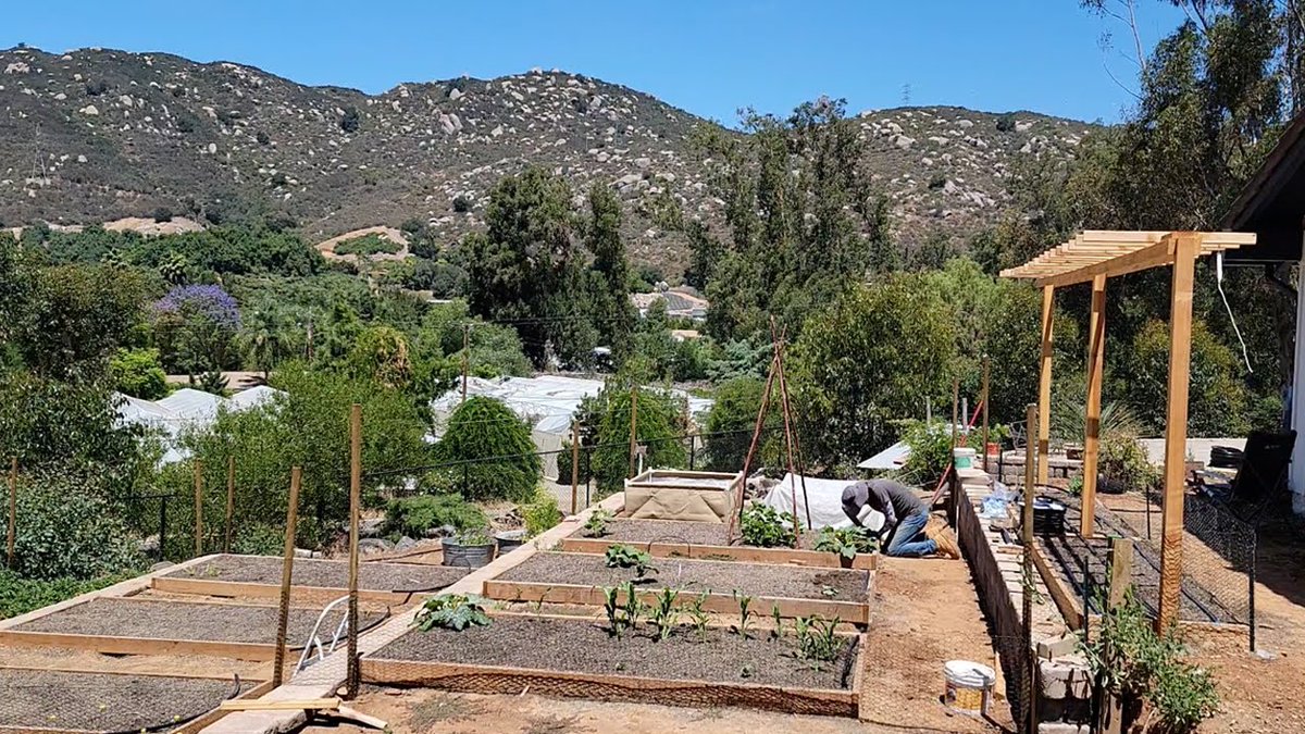 DiningCooking's tweet image. Installing Drip Tape in the New ... 
 
#DripIrrigation #DripSystem #DripTape #DripTube #HowToInstallADripSystem #HowToWaterVegetables #NextLevelGardening #OrganicGarden #OrganicGardening #VegetableGarden #VegetableGardenVideos #VegetableGardening
 
diningandcooking.com/678469/install…