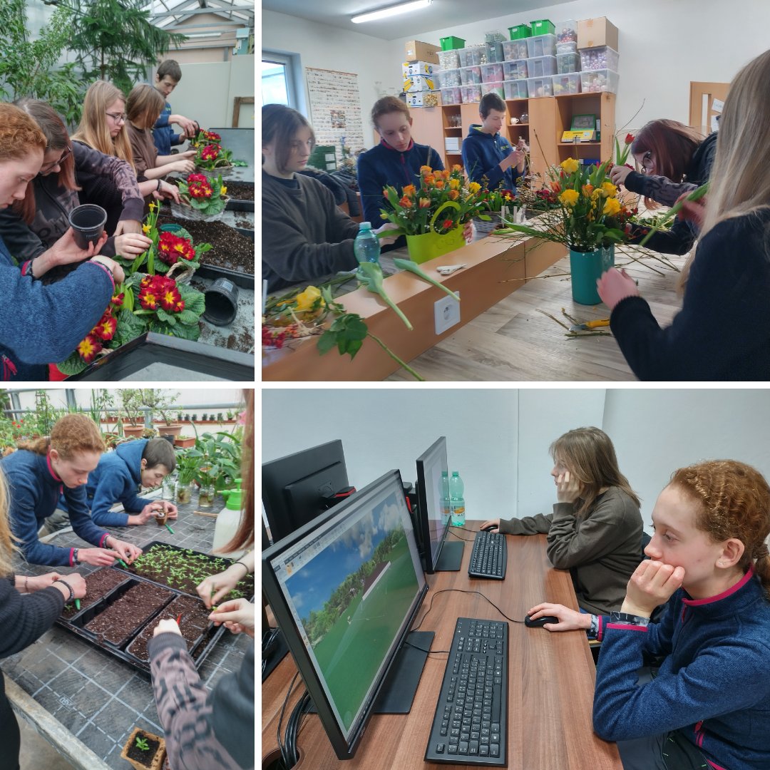 The green sector needs young people and vocational schools are trying to get them excited about this field of study.
How about a hands-on workshop for primary school pupils, where they can experience everything for themselves?
#urbangreening #horticulture #students #VETstudents