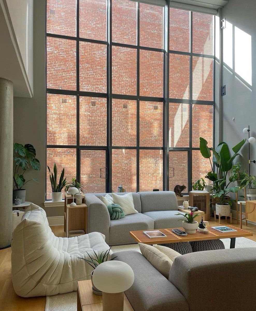 Houseplant Hobbyist tweet media